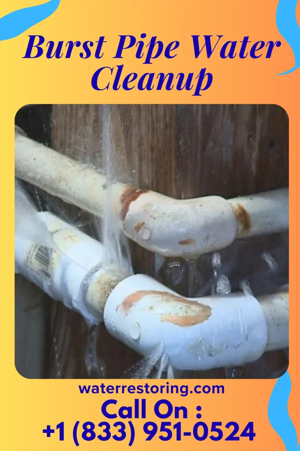 Burst Pipe Water Cleanup in Grayson, KY