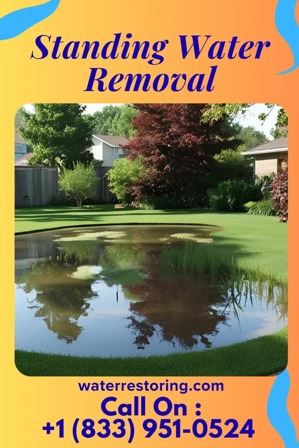 Standing Water Removal in Grayson, KY